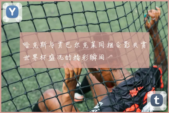 哈克斯与贾巴尔克莱同框合影共赏世界杯盛况的精彩瞬间