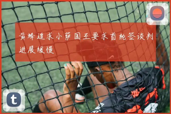 黄蜂追求小萨国王要求首轮签谈判进展缓慢